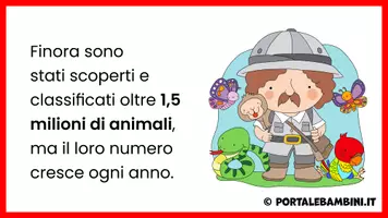anteprima - Presentazioni / Lavagne - Gli animali e la loro classificazione - Pagina 3
