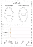 Vorschau - Arbeitsblätter - Meine Zähne 🦷 Zahnarten, Funktionen, Zahnpflege - Seite 1