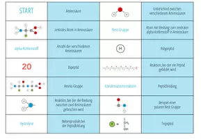 Vorschau - Spiele - Aminosäuren - Domino Spiel (Abitur) - Seite 3