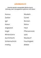Vorschau - Arbeitsblätter - Regenwurm Rätsel in 3 Versionen mit Webquest + Online-Versionen - Seite 2