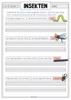 Vorschau - Arbeitsblätter - INSEKTEN Nebensätze bilden - Seite 2