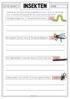 Vorschau - Arbeitsblätter - INSEKTEN Nebensätze bilden - Seite 3