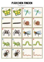 Vorschau - Spiele - INSEKTEN Paare finden - Seite 2