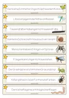 Vorschau - Spiele - INSEKTEN (wachsendes) Materialpaket (Deutsch / DaZ) - Seite 2
