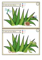 Vorschau - Fördermaterial/Inklusion - INSEKTEN Sprechanlass (Gruppengespräch) - Seite 3