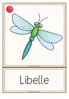 Vorschau - Fördermaterial/Inklusion - INSEKTEN Wort- und Bildkarten (Grundwortschatz) - Seite 2