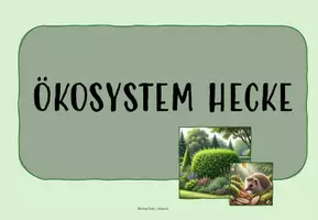 Vorschau - Arbeitsblätter - LERNTHEKE: ÖKOSYSTEM: HECKE (+Rätsel &Quiz) - Seite 1