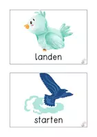 Vorschau - Präsentationen/Tafelbilder - Dance Battle Vogeltanz 3. Klasse Mathematik Kompetenz spielerisch und planvoll mit ebenen Figuren und Körpern arbeiten insbesondere mit symmetrischen Objekten - Seite 1