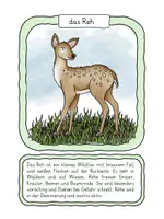 Vorschau - Stationenlernen - Waldtiere Tafelkarten und Zuordnungstext - Seite 3