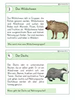 Vorschau - Arbeitsblätter - Waldtiere Lese-und Abschreibkartei - Seite 3