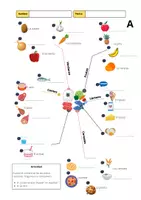 Vorschau - Arbeitsblätter - Juego los alimentos Spiel - Seite 1