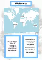 Vorschau - Stationenlernen - Pferderassen aus Afrika (Montessori Lernkarten) – Spielerisch entdecken & verstehen - Seite 2