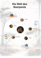 Vorschau - Arbeitsblätter - Das Boerperd – Steckbrief inklusive – Pferderassen Afrikas – Kontinente entdecken - Seite 3