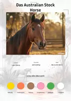 Vorschau - Stationenlernen - Das Australian Stock Horse – Steckbrief inklusive – Pferderassen Australiens – Kontinente entdecken - Deckblatt