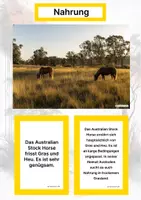 Vorschau - Stationenlernen - Das Australian Stock Horse – Steckbrief inklusive – Pferderassen Australiens – Kontinente entdecken - Seite 1