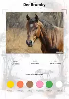 Vorschau - Arbeitsblätter - Der Brumby – Steckbrief inklusive – Pferderassen Australiens – Kontinente entdecken - Deckblatt