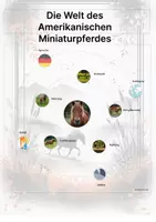Vorschau - Arbeitsblätter - Das Amerikanische Miniaturpferd – Steckbrief inklusive – Pferderassen Nordamerikas – Montessori Lernkarten (Kontinente entdecken) - Seite 3