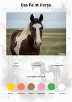 Vorschau - Arbeitsblätter - Das Paint Horse – Steckbrief inklusive – Pferderassen Nordamerikas – Kontinente entdecken - Deckblatt
