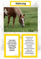 Vorschau - Arbeitsblätter - Das Paint Horse – Steckbrief inklusive – Pferderassen Nordamerikas – Kontinente entdecken - Seite 1