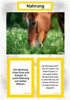 Vorschau - Arbeitsblätter - Pferderassen aus Nordamerika (Montessori Lernkarten) – Spielerisch entdecken & verstehen - Seite 1