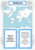 Vorschau - Arbeitsblätter - Pferderassen aus Nordamerika (Montessori Lernkarten) – Spielerisch entdecken & verstehen - Seite 2