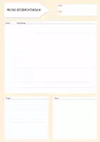 Vorschau - Lehrpläne/Lehrermaterial - Beobachtungen im Unterricht - Übersicht - Seite 3