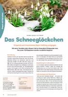 Vorschau - Stundenentwürfe - Frühlingslied: Das Schneeglöckchen singen und musizieren - Seite 1