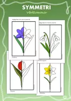 förhandsvisning - Symmetri med vårblommor - försättsblad