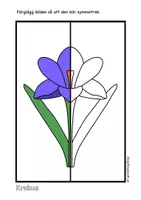 förhandsvisning - Symmetri med vårblommor - sida 1