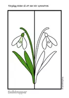 förhandsvisning - Symmetri med vårblommor - sida 3