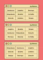 Vista previa - Tarjetas / Manipulativos - PALABRAS COMPUESTAS - página 3