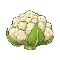 Vorschau - selbst erstellte Cliparts/Grafiken - Cliparts-Set "Gemüse" - Bunte Gemüse Cliparts für den Unterricht - Seite 2