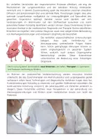 Vorschau - Arbeitsblätter - Das Atmungssystem – Lunge, Gasaustausch und Atmung - Seite 3