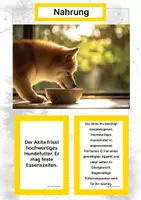 Vorschau - Arbeitsblätter - Hunderassen aus Asien (Montessori Lernkarten) – Spielerisch entdecken & verstehen - Seite 1