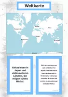 Vorschau - Arbeitsblätter - Hunderassen aus Asien (Montessori Lernkarten) – Spielerisch entdecken & verstehen - Seite 2