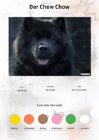Vorschau - Arbeitsblätter - Der Chow Chow – Steckbrief inklusive – Hunderassen Asiens – Montessori Lernkarten (Kontinente entdecken) - Deckblatt