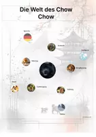 Vorschau - Arbeitsblätter - Der Chow Chow – Steckbrief inklusive – Hunderassen Asiens – Montessori Lernkarten (Kontinente entdecken) - Seite 3