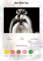 Vorschau - Arbeitsblätter - Der Shih Tzu – Steckbrief inklusive – Hunderassen Asiens – Montessori Lernkarten (Kontinente entdecken) - Deckblatt