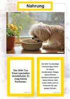 Vorschau - Arbeitsblätter - Der Shih Tzu – Steckbrief inklusive – Hunderassen Asiens – Montessori Lernkarten (Kontinente entdecken) - Seite 1