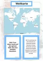 Vorschau - Arbeitsblätter - Der Shih Tzu – Steckbrief inklusive – Hunderassen Asiens – Montessori Lernkarten (Kontinente entdecken) - Seite 2