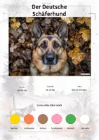 Vorschau - Arbeitsblätter - Der Deutsche Schäferhund – Steckbrief inklusive – Hunderassen Europas – Montessori Lernkarten (Kontinente entdecken) - Deckblatt