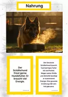Vorschau - Arbeitsblätter - Der Deutsche Schäferhund – Steckbrief inklusive – Hunderassen Europas – Montessori Lernkarten (Kontinente entdecken) - Seite 1