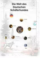 Vorschau - Arbeitsblätter - Der Deutsche Schäferhund – Steckbrief inklusive – Hunderassen Europas – Montessori Lernkarten (Kontinente entdecken) - Seite 3