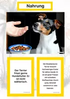 Vorschau - Stationenlernen - Hunderassen aus Südamerika (Montessori Lernkarten) – Spielerisch entdecken & verstehen - Seite 1
