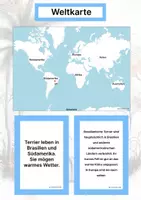 Vorschau - Stationenlernen - Hunderassen aus Südamerika (Montessori Lernkarten) – Spielerisch entdecken & verstehen - Seite 2