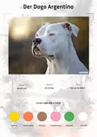 Vorschau - Arbeitsblätter - Der Dogo Argentino – Steckbrief inklusive – Hunderassen Südamerikas – Montessori Lernkarten (Kontinente entdecken) - Deckblatt