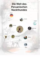 Vorschau - Stationenlernen - Der Peruanische Nackthund – Steckbrief inklusive – Hunderassen Südamerikas – Montessori Lernkarten (Kontinente entdecken) - Seite 3