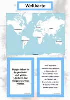 Vorschau - Arbeitsblätter - Der Dogo Argentino – Steckbrief inklusive – Hunderassen Südamerikas – Montessori Lernkarten (Kontinente entdecken) - Seite 2