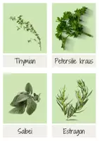 Vorschau - Präsentationen/Tafelbilder - Kräuter und Gewürze - Flashkarten / Lernkarten / Montessori - Seite 3