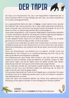 Vorschau - Arbeitsblätter - Tiere verschiedener Kontinente (Gruppenarbeit) - Seite 3